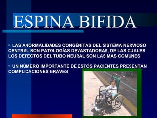 ESPINA BIFIDA
• LAS ANORMALIDADES CONGÉNITAS DEL SISTEMA NERVIOSO
CENTRAL SON PATOLOGÍAS DEVASTADORAS, DE LAS CUALES
LOS DEFECTOS DEL TUBO NEURAL SON LAS MAS COMUNES

• UN NÚMERO IMPORTANTE DE ESTOS PACIENTES PRESENTAN
COMPLICACIONES GRAVES
 