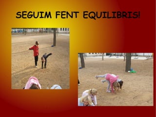 SEGUIM FENT EQUILIBRIS! 