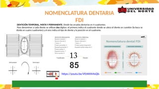 Fdi Temporal DIAP CLASE 2 OD FORENSE resumen de autopsia dental y en perito medico.pptx