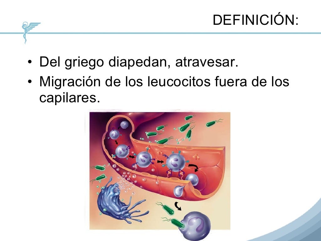 Diapedesis