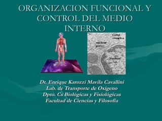 ORGANIZACION FUNCIONAL Y CONTROL DEL MEDIO INTERNO Dr. Enrique Karozzi Mavila Cavallini Lab. de Transporte de Oxígeno Dpto. Cs Biológicas y Fisiológicas Facultad de Ciencias y Filosofía 