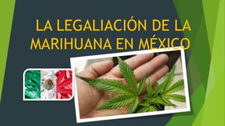 LA LEGALIACIÓN DE LA
MARIHUANA EN MÉXICO
 