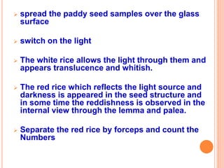  spread the paddy seed samples over the glass
surface
 switch on the light
 The white rice allows the light through them and
appears translucence and whitish.
 The red rice which reflects the light source and
darkness is appeared in the seed structure and
in some time the reddishness is observed in the
internal view through the lemma and palea.
 Separate the red rice by forceps and count the
Numbers
 