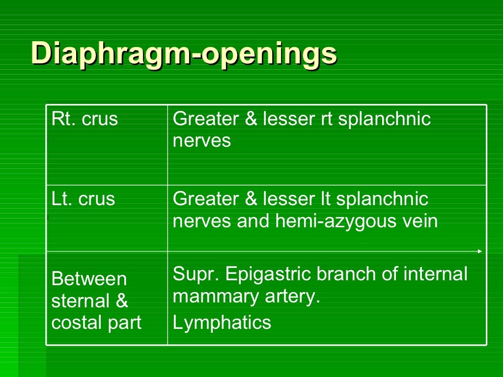 Diaphragm