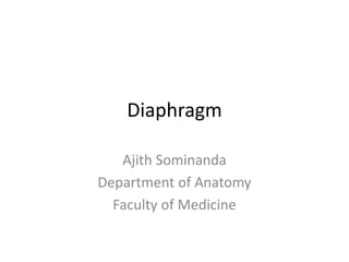 Diaphragm
Ajith Sominanda
Department of Anatomy
Faculty of Medicine
 