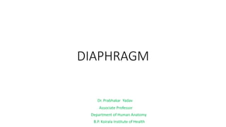DIAPHRAGM
Dr. Prabhakar Yadav
Associate Professor
Department of Human Anatomy
B.P. Koirala Institute of Health
 