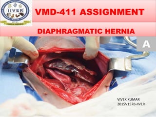 VMD-411 ASSIGNMENT
DIAPHRAGMATIC HERNIA
VIVEK KUMAR
2015V157B-IIVER
 