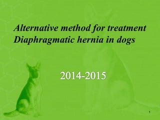 Alternative method for treatment
Diaphragmatic hernia in dogs
1
 