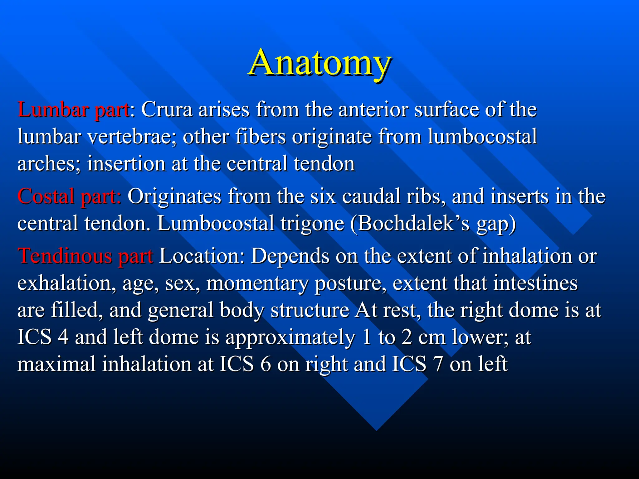 Anatomy
Anatomy
Lumbar part
Lumbar part: Crura arises from the anterior surface of the
: Crura arises from the anterior surface of the
lumbar vertebrae; other fibers originate from lumbocostal
lumbar vertebrae; other fibers originate from lumbocostal
arches; insertion at the central tendon
arches; insertion at the central tendon
Costal part:
Costal part: Originates from the six caudal ribs, and inserts in the
Originates from the six caudal ribs, and inserts in the
central tendon. Lumbocostal trigone (Bochdalek’s gap)
central tendon. Lumbocostal trigone (Bochdalek’s gap)
Tendinous part
Tendinous part Location: Depends on the extent of inhalation or
Location: Depends on the extent of inhalation or
exhalation, age, sex, momentary posture, extent that intestines
exhalation, age, sex, momentary posture, extent that intestines
are filled, and general body structure At rest, the right dome is at
are filled, and general body structure At rest, the right dome is at
ICS 4 and left dome is approximately 1 to 2 cm lower; at
ICS 4 and left dome is approximately 1 to 2 cm lower; at
maximal inhalation at ICS 6 on right and ICS 7 on left
maximal inhalation at ICS 6 on right and ICS 7 on left
 