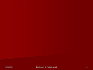 25/06/1441 Diaphragm Dr Mostafa Kandil 14
 