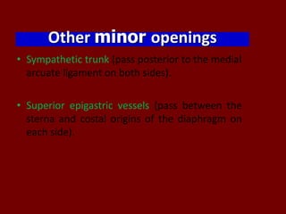 Other minor openings
• Sympathetic trunk (pass posterior to the medial
arcuate ligament on both sides).
• Superior epigastric vessels (pass between the
sterna and costal origins of the diaphragm on
each side).
 