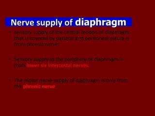 Nerve supply of diaphragm
• sensory supply of the central tendon of diaphragm
that is covered by parietal and peritoneal pleura is
from phrenic nerve.
• Sensory supply to the periphery of diaphragm is
from lower six intercostal nerves.
• The motor nerve supply of diaphragm is only from
the phrenic nerve.
 