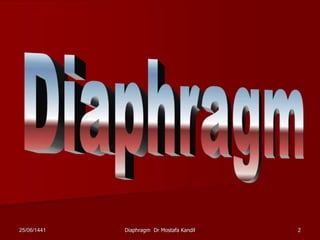 25/06/1441 Diaphragm Dr Mostafa Kandil 2
 