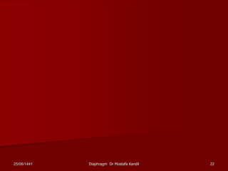 25/06/1441 Diaphragm Dr Mostafa Kandil 22
 