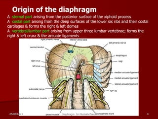 A sternal part arising from the posterior surface of the xiphoid process
A costal part arising from the deep surfaces of the lower six ribs and their costal
cartilages & forms the right & left domes
A vertebral/lumbar part arising from upper three lumbar vertebrae; forms the
right & left crura & the arcuate ligaments
Origin of the diaphragm
25/06/1441 Diaphragm Dr Mostafa Kandil 4
 