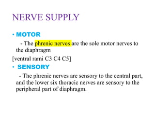 NERVE SUPPLY
• MOTOR
- The phrenic nerves are the sole motor nerves to
the diaphragm
[ventral rami C3 C4 C5]
• SENSORY
- The phrenic nerves are sensory to the central part,
and the lower six thoracic nerves are sensory to the
peripheral part of diaphragm.
 