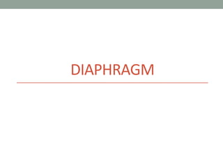 DIAPHRAGM

 