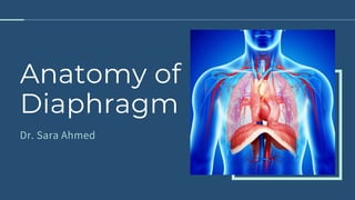 Anatomy of
Diaphragm
Dr. Sara Ahmed
 