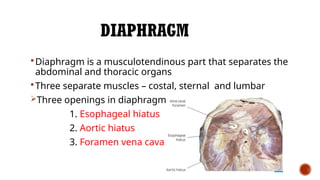 DIAPHRAGMATIC HERNIA IN LARGE ANIMALS.pptx