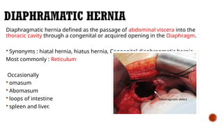DIAPHRAGMATIC HERNIA IN LARGE ANIMALS.pptx