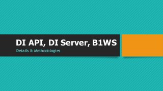 DI API, DI Server, B1WS 
Details & Methodologies 
 