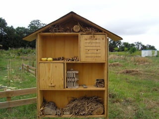 Hôtel à insectes
 