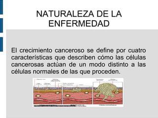 NATURALEZA DE LA
ENFERMEDAD
El crecimiento canceroso se define por cuatro
características que describen cómo las células
cancerosas actúan de un modo distinto a las
células normales de las que proceden.
 