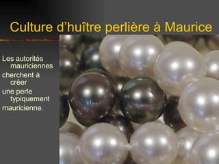 Culture d’huître perlière à Maurice ,[object Object],[object Object],[object Object],[object Object]