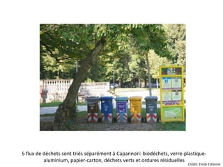 5 flux de déchets sont triés séparément à Capannori: biodéchets, verre-plastique-aluminium, 
papier-carton, déchets verts et ordures résiduelles 
Crédit: Emily Estienne 
 