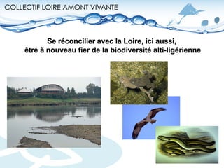 Se réconcilier avec la Loire, ici aussi,  être à nouveau fier de la biodiversité alti-ligérienne 