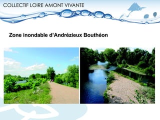 Zone inondable d’Andrézieux Bouthéon 