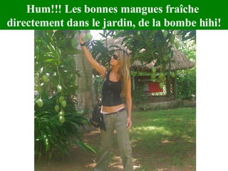 Hum!!! Les bonnes mangues fraîche  directement dans le jardin, de la bombe hihi! 