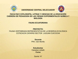 UNIVERSIDAD CENTRAL DELECUADOR
FACULTAD D EFILOSOFÍA, LETRAS Y CIENCIAS DE LA EDUCACIÓN
CARRERA DE PEDAGOGÍA DE LAS CIENIAS EXPERIMENTALES QUÍMICA Y
BIOLOGÍA
FAUNA ECUATORIANA
PROYECTO:
FAUNA VERTEBRADA REPRESENTATIVA DE LA RESERVA ECOLÓGICA
COTACACHI CAYAPAS SECTOR LAGUNA CUICOCHA
Docente
PHh. Iván Morillo
Estudiantes
Caizatoa Lizbeth
Curso
Quinto “A”
 