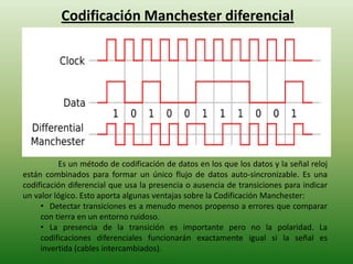 Esquema de codificación | PPTX