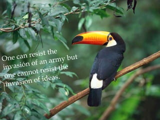 improve your life ...