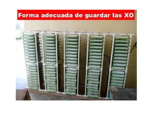 OLPC en el mundo
