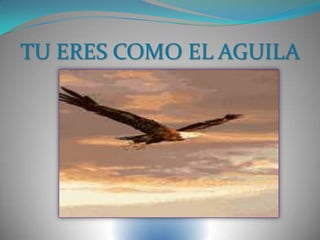 TU ERES COMO EL AGUILA
 