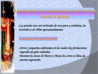  Se dice que en la altura de las brazos de la cruz se apreciaba la silueta del padre Guatemala y que esta desaparecido por los anillos que le colocaban. EXISTENCIA DE OTRA CRUZ EN EL DISTRITO DE PENACHIPoco después el padre estuvo en la Sierra en el Cerro llamado “Llanaguanca”, que pertenece a este mismo distrito, fue en este cerro donde trabajo otra cruz de Guayacán la que coloco en una cueva escabrosa.