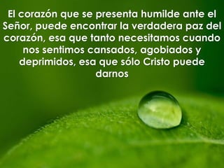 El corazón que se presenta humilde ante el
Señor, puede encontrar la verdadera paz del
corazón, esa que tanto necesitamos cuando
nos sentimos cansados, agobiados y
deprimidos, esa que sólo Cristo puede
darnos
 