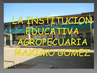 LA INSTITUCION EDUCATIVA AGROPECUARIA MAXIMO GOMEZ 