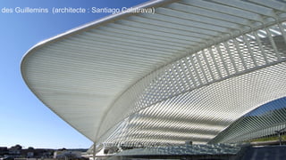 des Guillemins (architecte : Santiago Calatrava)




                                                   Les coteaux de la citadelle
 