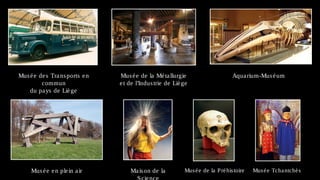 Mus é e de s Tra ns ports e n   Mus é e de la Mé ta llurgie                      Aqua rium-Mus é um
         commun                 e t de l’Indus trie de Liè ge
    du pa ys de Liè ge




     Mus é e e n ple in a ir        Ma is on de la         Mus é e de la P ré his toire   Mus é e Tcha ntchè s
 