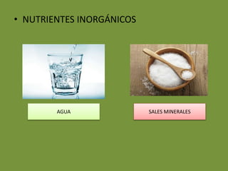 • NUTRIENTES INORGÁNICOS
AGUA SALES MINERALES
 