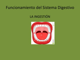 Funcionamiento del Sistema Digestivo
LA INGESTIÓN
 
