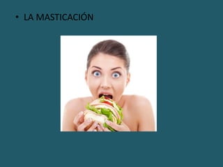 • LA MASTICACIÓN
 