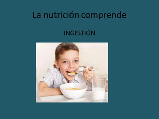 La nutrición comprende
INGESTIÓN
 