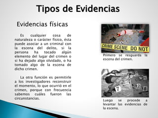 Tipos de Evidencias 
Evidencias físicas 
Es cualquier cosa de 
naturaleza o carácter físico, ésta 
puede asociar a un criminal con 
la escena del delito, si la 
persona ha tocado algún 
elemento del lugar del crimen o 
si ha dejado algo olvidado, o ha 
tomado algo de la escena de 
dicho crimen. 
La otra función es permitirle 
a los investigadores reconstruir 
el momento, lo que ocurrió en el 
crimen, porque con frecuencia 
sabemos cuáles fueron las 
circunstancias. 
Primero se resguarda la 
escena del crimen. 
Luego se procede a 
levantar las evidencias de 
la escena. 
 