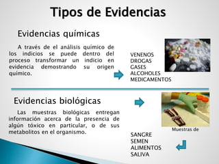 Tipos de Evidencias 
SANGRE 
SEMEN 
ALIMENTOS 
SALIVA 
Evidencias químicas 
A través de el análisis químico de 
los indicios se puede dentro del 
proceso transformar un indicio en 
evidencia demostrando su origen 
químico. 
Evidencias biológicas 
VENENOS 
DROGAS 
GASES 
ALCOHOLES 
MEDICAMENTOS 
Las muestras biológicas entregan 
información acerca de la presencia de 
algún tóxico en particular, o de sus 
metabolitos en el organismo. Muestras de 
 