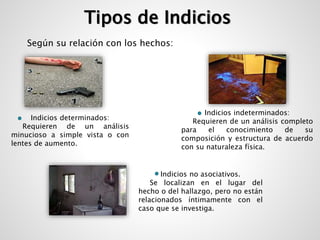 Tipos de Indicios 
Según su relación con los hechos: 
Indicios determinados: 
Requieren de un análisis 
minucioso a simple vista o con 
lentes de aumento. 
Indicios indeterminados: 
Requieren de un análisis completo 
para el conocimiento de su 
composición y estructura de acuerdo 
con su naturaleza física. 
Indicios no asociativos. 
Se localizan en el lugar del 
hecho o del hallazgo, pero no están 
relacionados íntimamente con el 
caso que se investiga. 
 