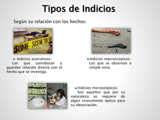 Tipos de Indicios 
Indicios asociativos: 
Los que corroboran y 
guardan relación directa con el 
hecho que se investiga. 
Indicios macroscópicos: 
Los que se observan a 
simple vista. 
Según su relación con los hechos: 
Indicios microscópicos: 
Son aquellos que por su 
naturaleza se requiere de 
algún instrumento óptico para 
su observación. 
 
